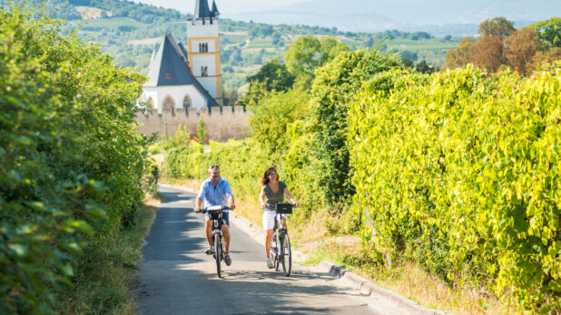 Fahrradtour durch die Weinberge in Rheinhessen
